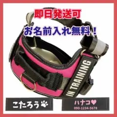 Item thumbnail for item 4784cab4-ce62-42a6-aa46-c00fbef16887