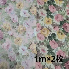 Item thumbnail for item c193269b-ef02-4567-af5b-379a4a9b439f