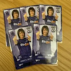 2026年最新】オンサイトカード サンフレッチェ広島の人気アイテム