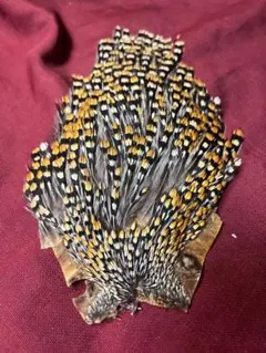 Item thumbnail for item 9657f080-c1d0-4ade-bcf6-ff0dce5434ea