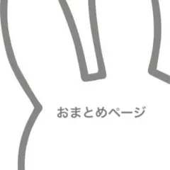 ✴︎ まやちん様　専用　✴︎