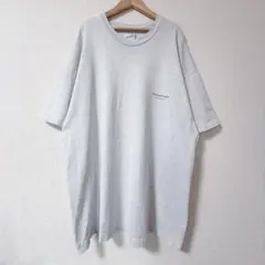 スクリーンスターズ Tシャツ クルーネック 半袖 企業 2XL 灰色 ゆったりのサムネイル