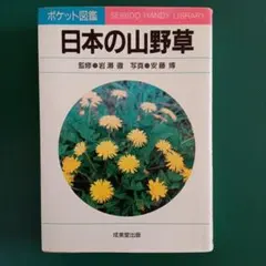 Item thumbnail for item 9d3e7bce-3afc-454e-97a1-fd840ca8b151