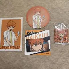 ハイキュー‼︎ 日向翔陽