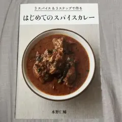 3スパイス&3ステップで作る はじめてのスパイスカレー 水野仁輔