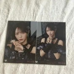 野口衣織　2025年アリーナツアー　生写真　セミコンプ