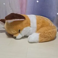 ちょコンとキツネ くるんとおねむ ウルトラBIGぬいぐるみ きなこのサムネイル