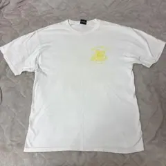 ヴィンテージ　STUSSY ステューシー Tシャツ ホワイト