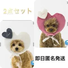 【新品未開封】スリーコインズ　ハート顔ハメ　ピンクとアイボリー　2点　ペット