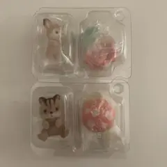 くるみリスの赤ちゃん シカの小さい赤ちゃん