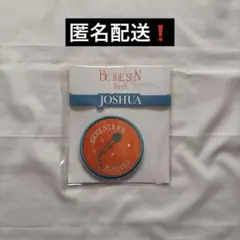 SEVENTEEN ペンライト アクセサリー ジョシュア 2025年最新】seventeen ペンライトアクセサリー ジョシュアの