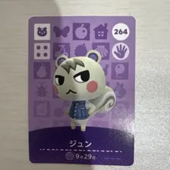 2026年最新】amiiboカードジュンの人気アイテム - メルカリ