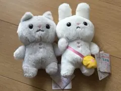 【心配性うさぎのふわわん】ふわわん&にゃんた ぬいぐるみ　2個セット