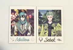 ツイステ展 カード マレウス セベク