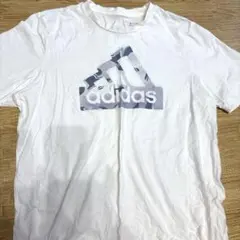 Item thumbnail for item 5b051f50-f7ce-4cc2-b764-d0aba81dcdb5