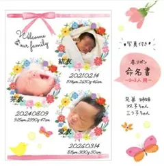 《2~3人用》赤リボン命名書　写真入り　兄弟姉妹　ベビーポスター　双子