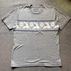 Acoustic ほぼ日Tシャツ 2008 グレー M