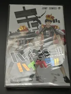 ハイキュー!! 公式カラーイラスト集 ハイカラ!!