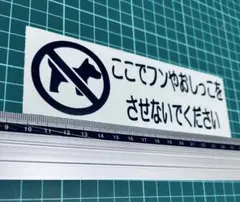 Item thumbnail for item 1993e73c-d2be-4df2-b5a2-38231b1f7257