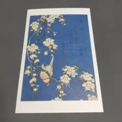 葛飾北斎、【鷽 垂桜】、希少な額装用画集より、美品、新品額装付