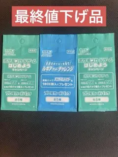 ポケモン プロモカードパック ルギアゲットチャレンジ パラダイム