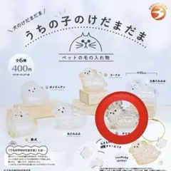 うちの子のけだまだま　チワワ　新品未使用　匿名配送