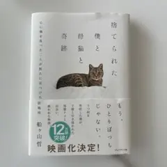 捨てられた僕と母猫と奇跡 : 心に傷を負った二人が新たに見つけた居場所