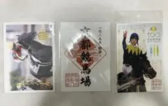 御駿印　京都競馬場　ディープインパクト　クロワデュノール