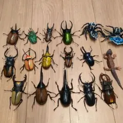 いきもの大図鑑 カプセルトイ