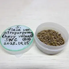 白木様 リクエスト 4点 まとめ商品