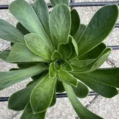 ヒロ☆☆☆様 リクエスト 2点 まとめ商品