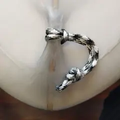 Item thumbnail for item a625e751-ed49-4d69-9465-0cf1b1ca6110