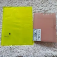 Item thumbnail for item 6fe65895-364d-4017-b7fe-fd6a42d61786