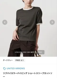 【美品】ユナイテッドアローズ　リブバイカラー　カットソー　ダークグレー