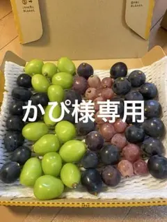 かぴ様専用です