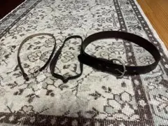 ベルト 3本セット