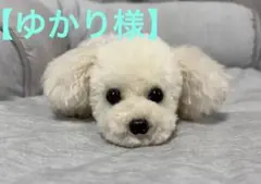 ゆかり様