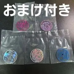 ポケモンカードゲーム　ポケモンコインコレクション　第1弾　②