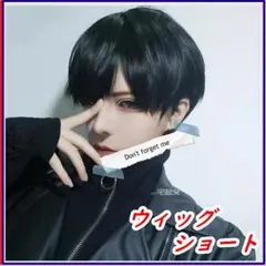メンズウィッグ ショート ナチュラルブラック 黒 コスプレ 男装 オシャレ