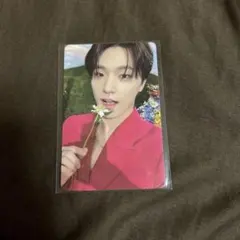 seventeen ディノ　sector17 kit キノ　beginning