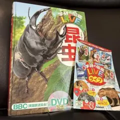 学研の図鑑　昆虫　DVD付き　ほぼ新品のサムネイル