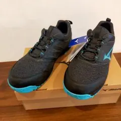 新品未使用　ミズノ　安全靴　オールマイティLSII21M　26cm 楽天市場】安全靴 ミズノ ハイカット オールマイティ メンズ