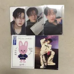 straykids チャンビン karma トレカ skzoo