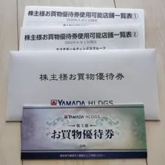 YAMADA HLDGS. お買物優待券 10枚セット