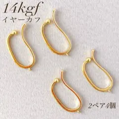 かみちゃん(土日のみ発送可)様 リクエスト 2点 まとめ商品