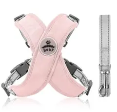 Item thumbnail for item 28a555cc-ee85-4515-8554-2ec2246ede96