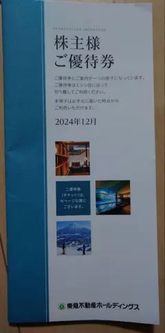 東急不動産　株主優待　100株以上