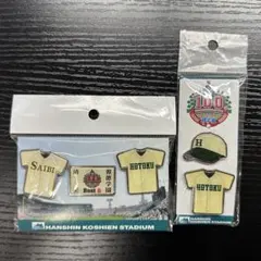 高校野球ピンバッジ】甲子園103回大会 決勝 智弁学園vs智弁和歌山