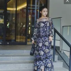 kastane embroidery organdy dress オケージョン