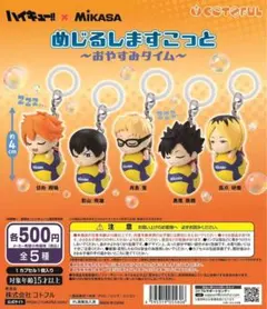 ハイキュー！！×MIKA SA めじるしますこっと－おやすみタイム 全5種セット